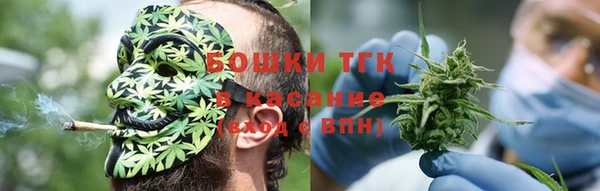 Альфа ПВП Пересвет