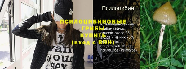 Альфа ПВП Пересвет