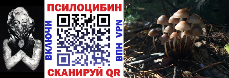 Галлюциногенные грибы Magic Shrooms Райчихинск